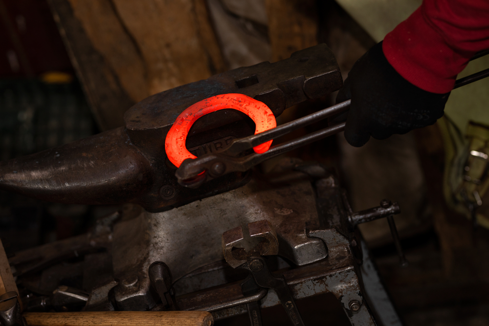Guidelines on Shoeing a Race Horse