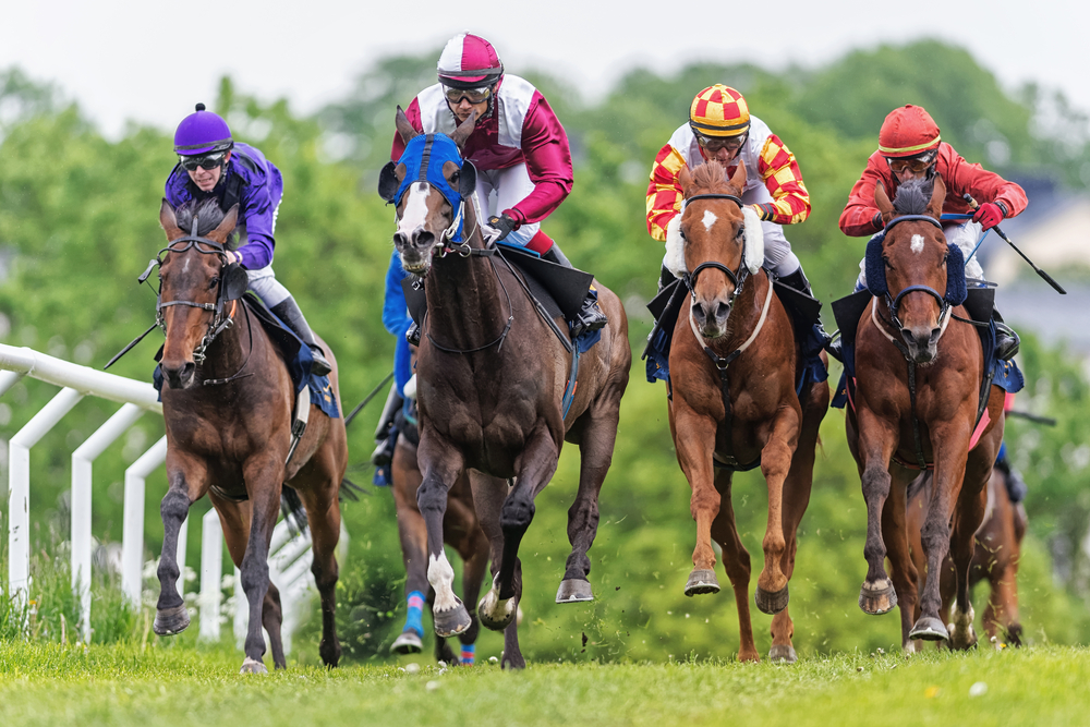 Incredible facts about horseracing that you ought to know
